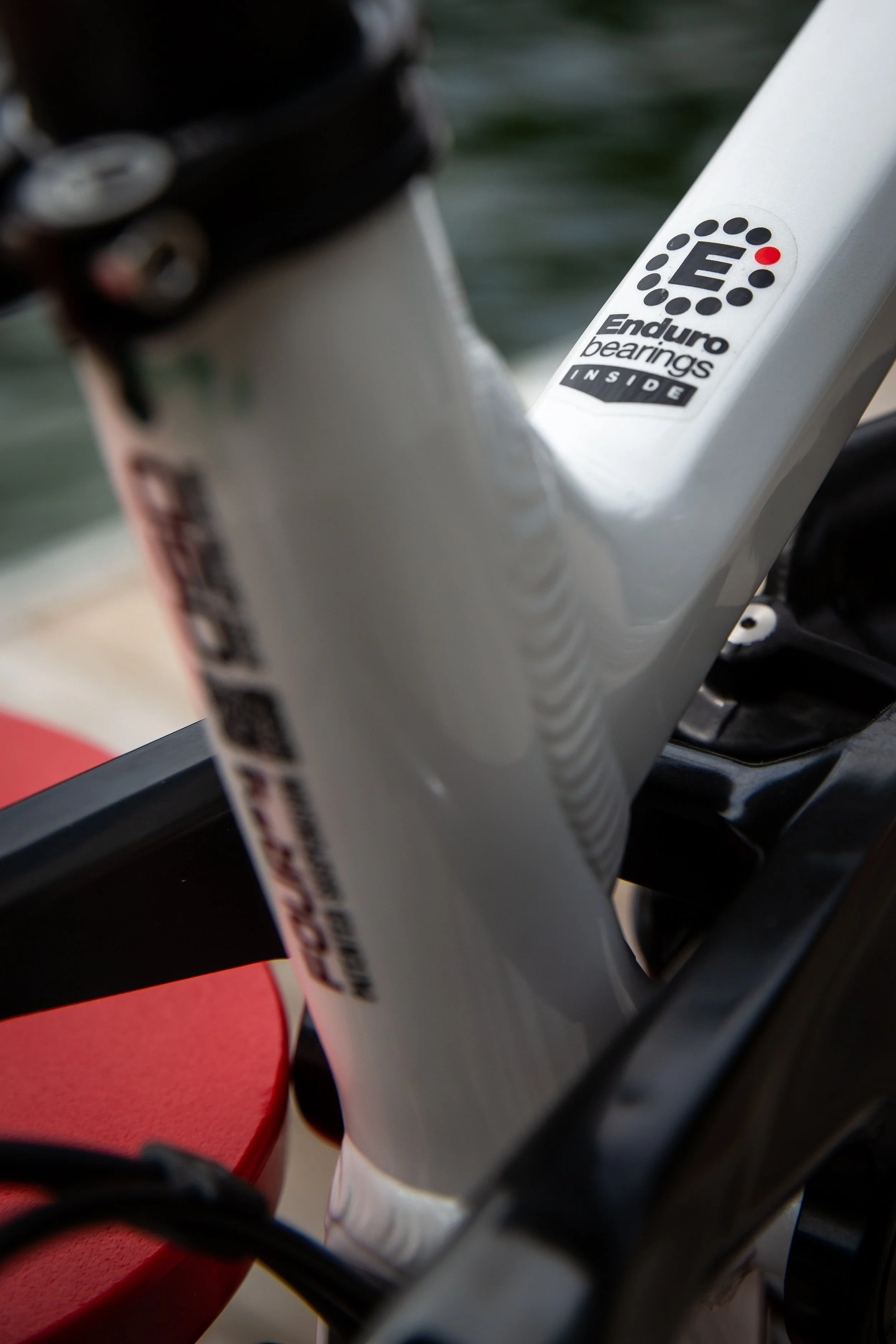 Bicycle Kingpin Limited Edition　バイスクル Limited Edition Knolly Delirium Frame! — Dialed Bike Service